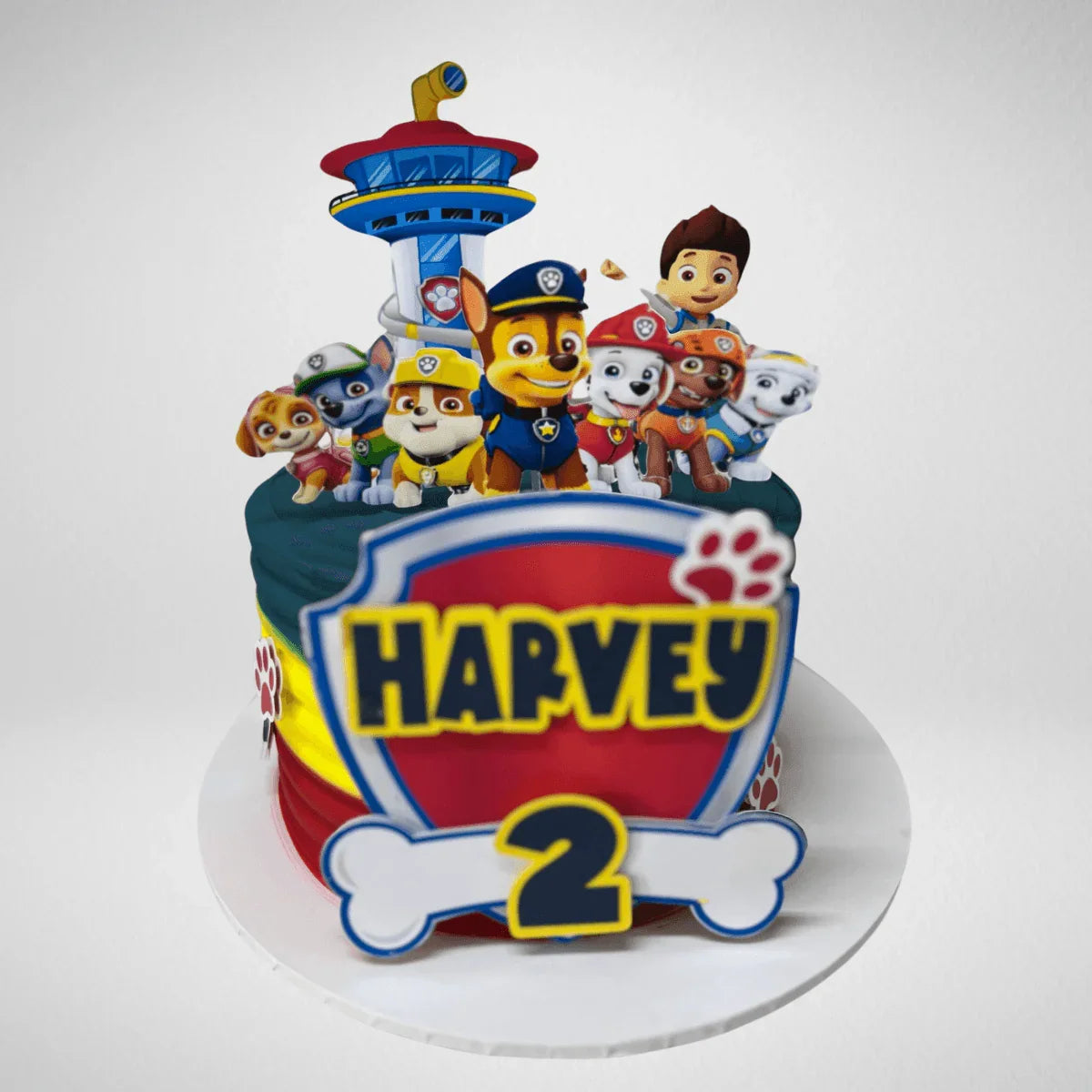 Paw Patrol Cake - La Fine Cakes